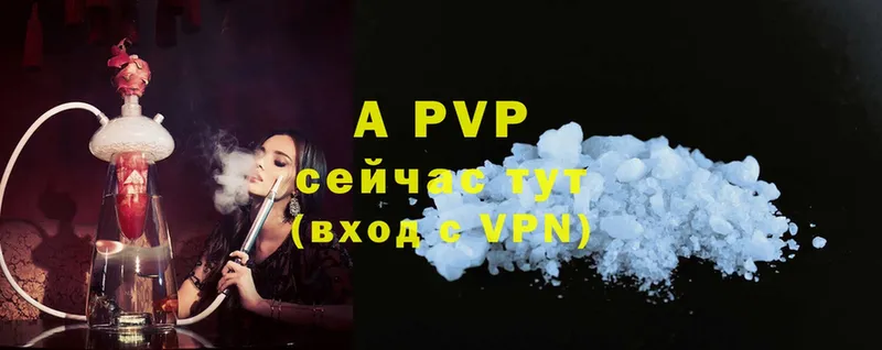 A PVP СК КРИС  Иланский 