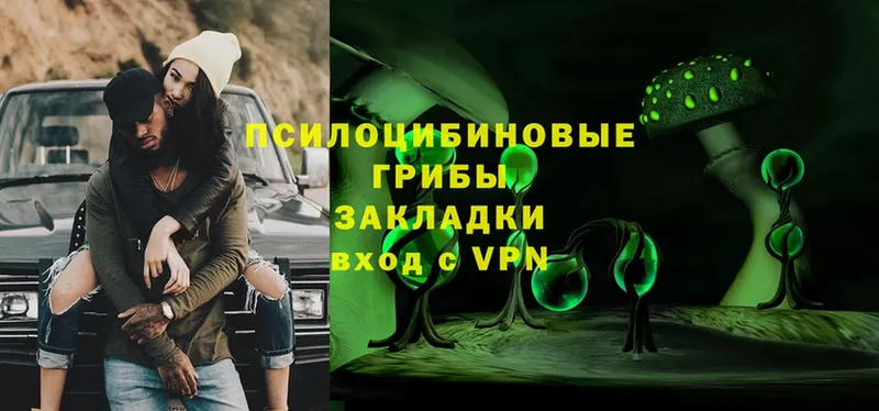 Псилоцибиновые грибы прущие грибы  blacksprut tor  Иланский 